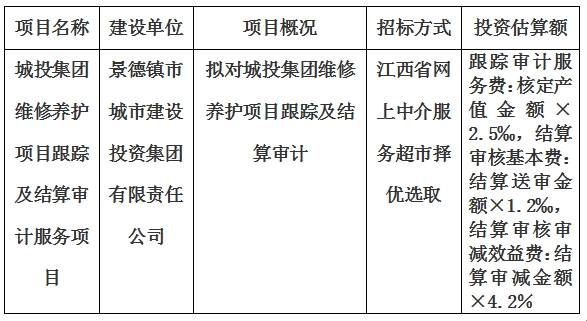 城投集團維修養護項目跟蹤及結算審計服務項目計劃公告